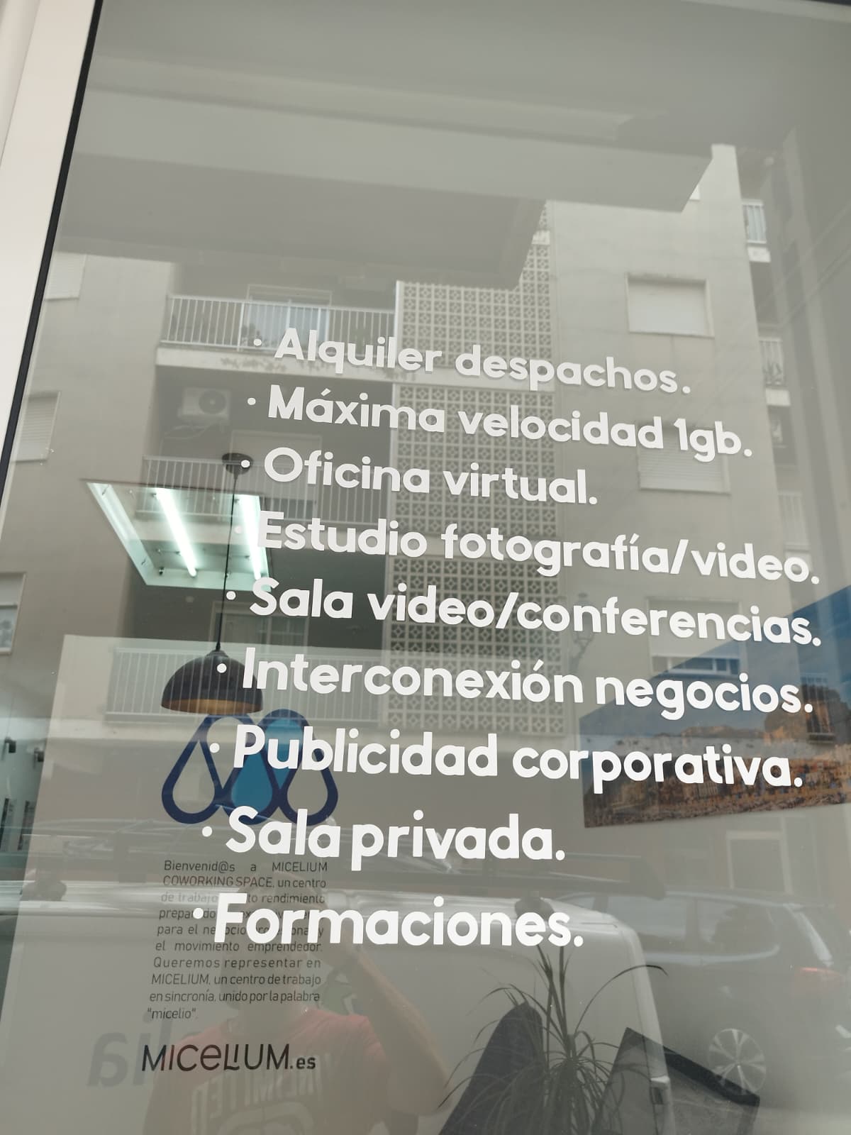 Vinilo decorativo en cristal para Micelium Coworking · Conde Creations Dénia